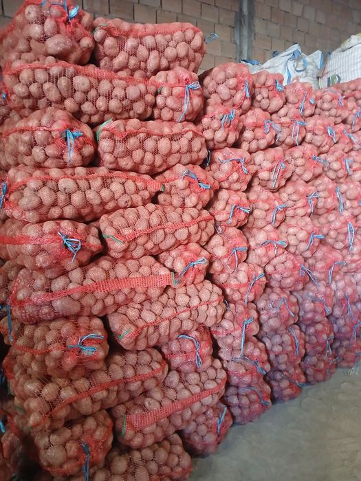 Vand cartof  consum rosu 50+