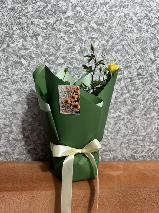 Живая комнатная роза в горшке