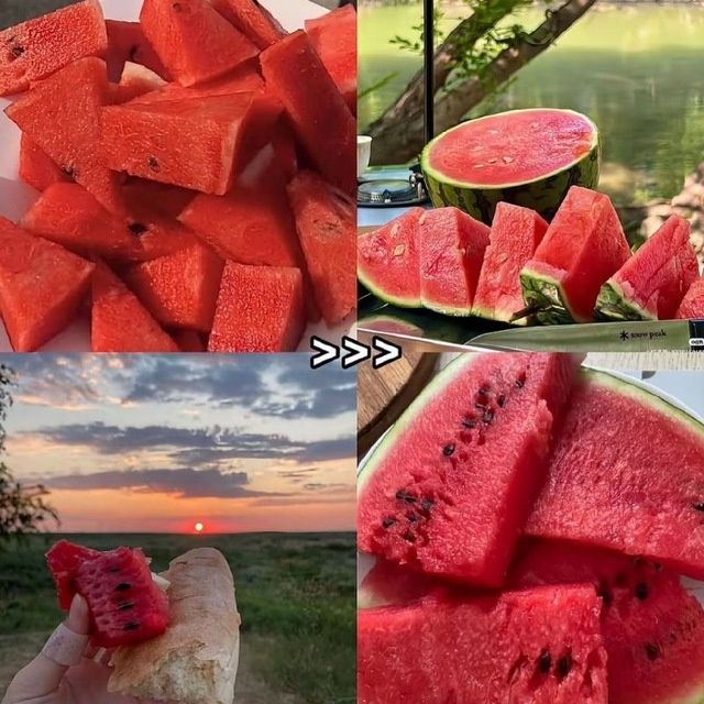 Gazon ekish xizmadlarimizni taklif qilamiz