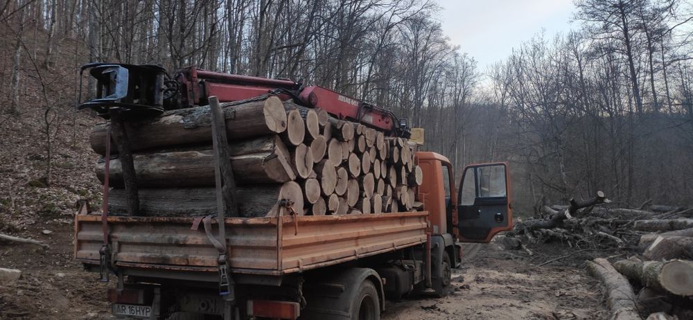 Lemne foc esență tare