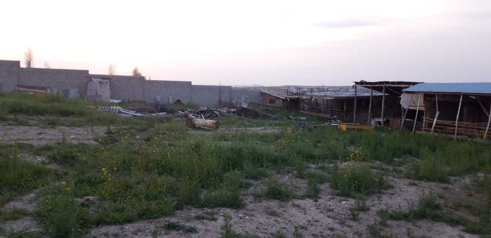 Срочно продам земельный участок площадью 100 сот 
Таш обл. Черняевка.