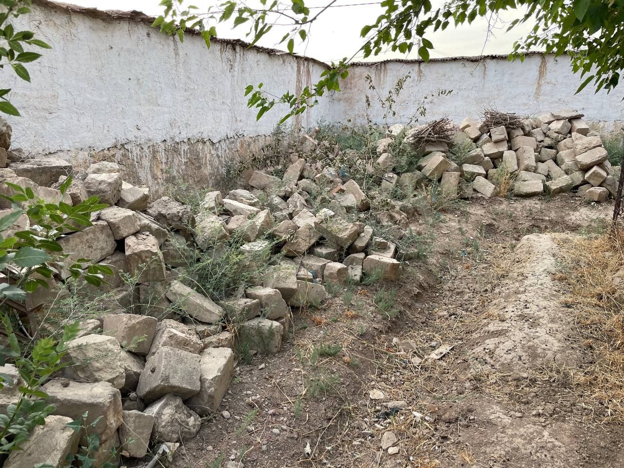 Бепулга кашкадарё гузор