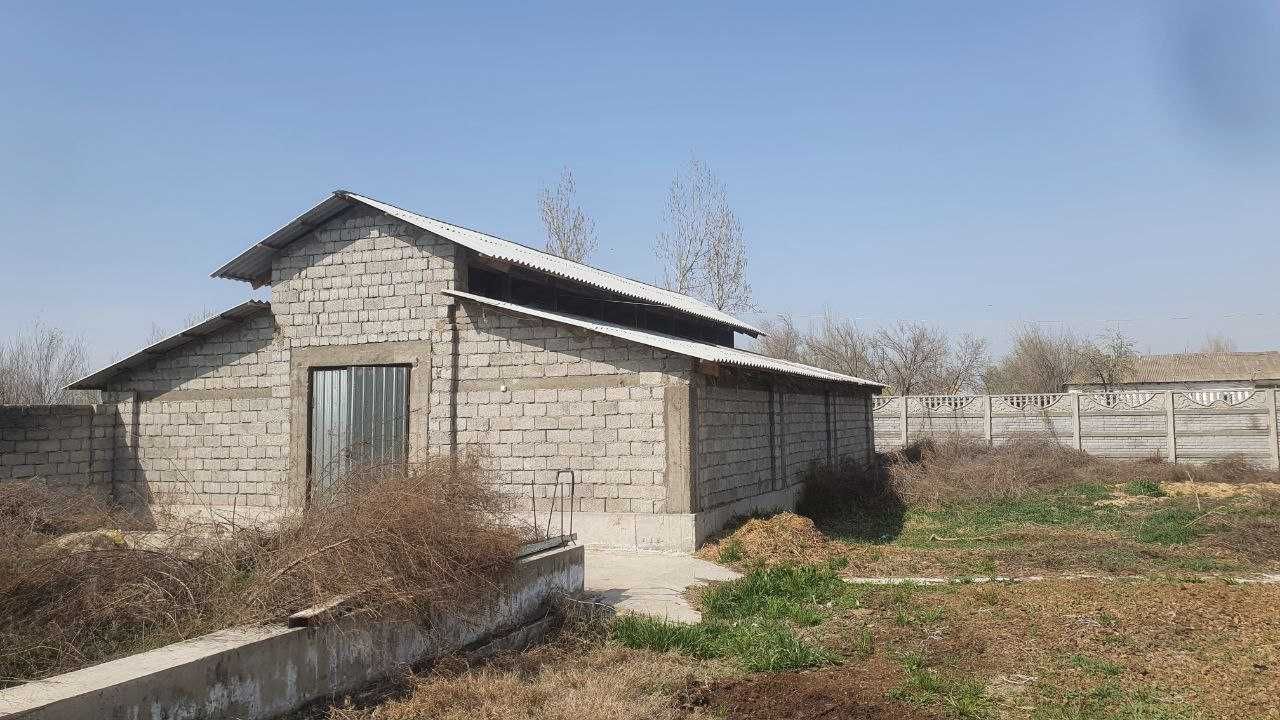 Ferma sotiladi Srdaryo viloyat ilich kalhozda