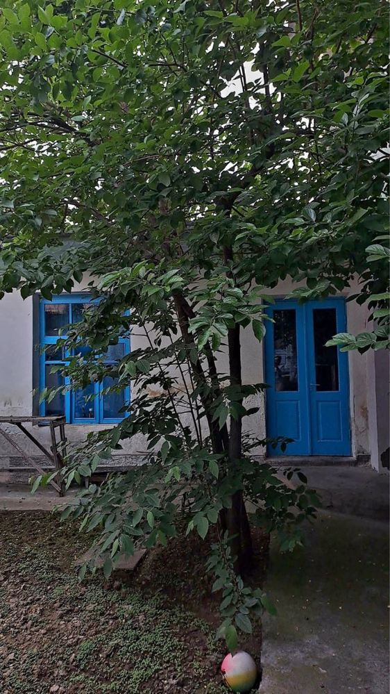 Продается участок в центре города