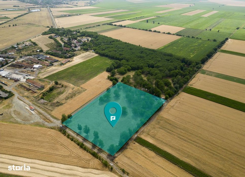 Teren intravilan Şofronea