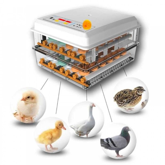 Автоматичен ролков инкубатор MS-120 яйца (12V/220V) #224+ Подарък