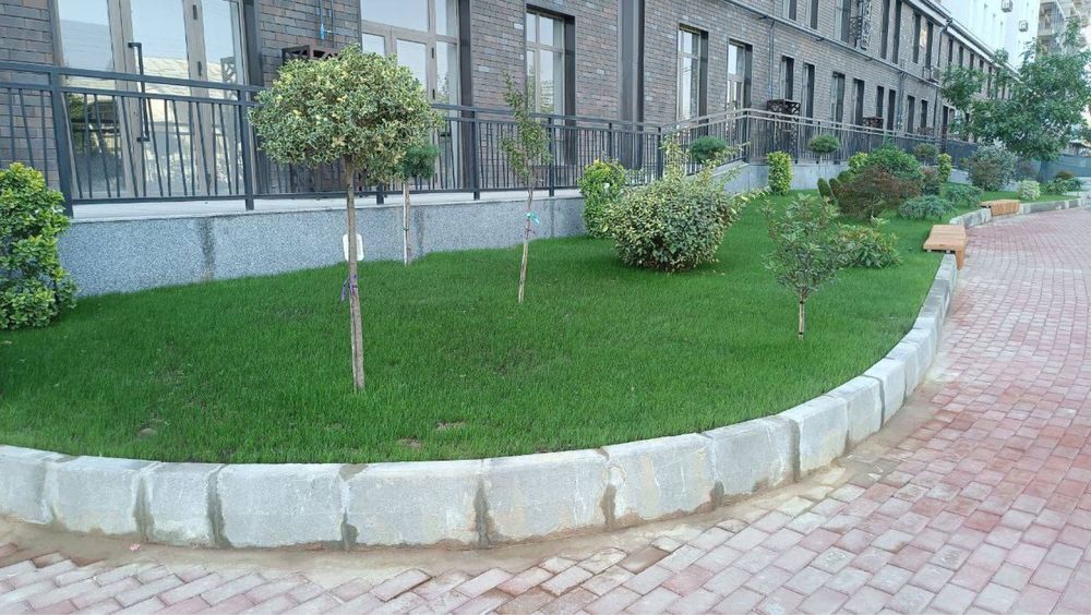 Gazon ekish (Lanshav xizmatlari)