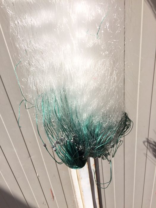 Plase pescuit cu radine