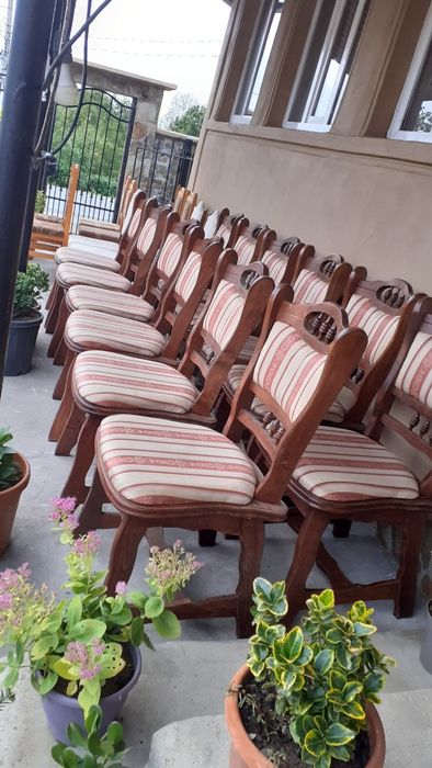 Vănd 12 scaune lemn masiv