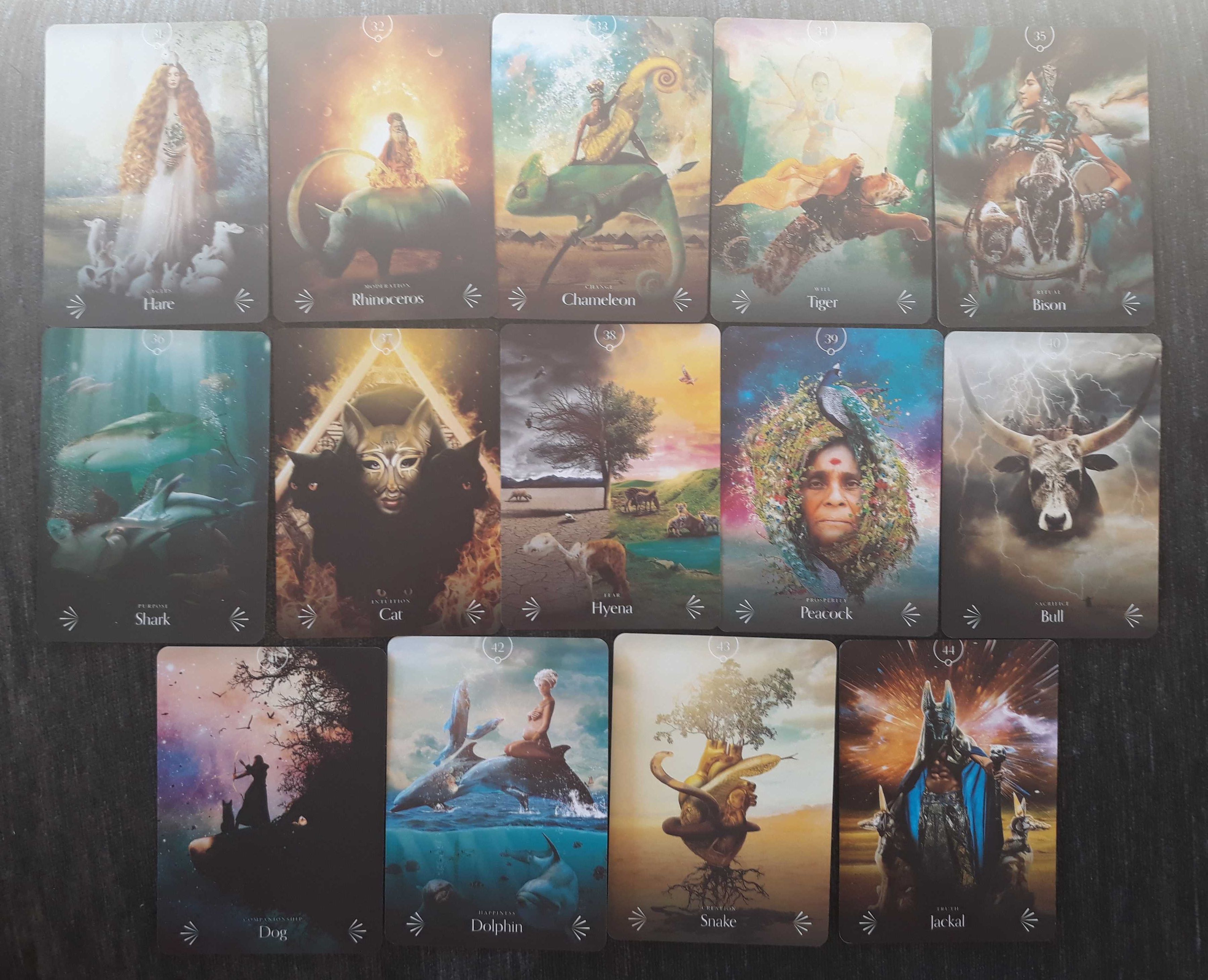 Divine Animals Oracle & Spirit Animal Wisdom & Whispers of the Ocean