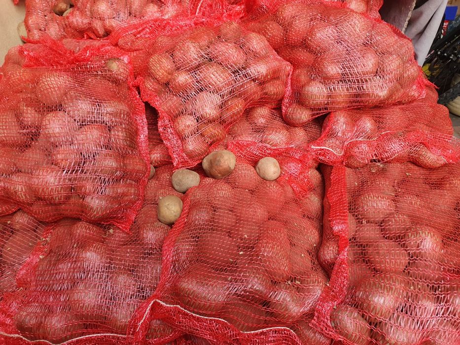 Vand cartofi rosii