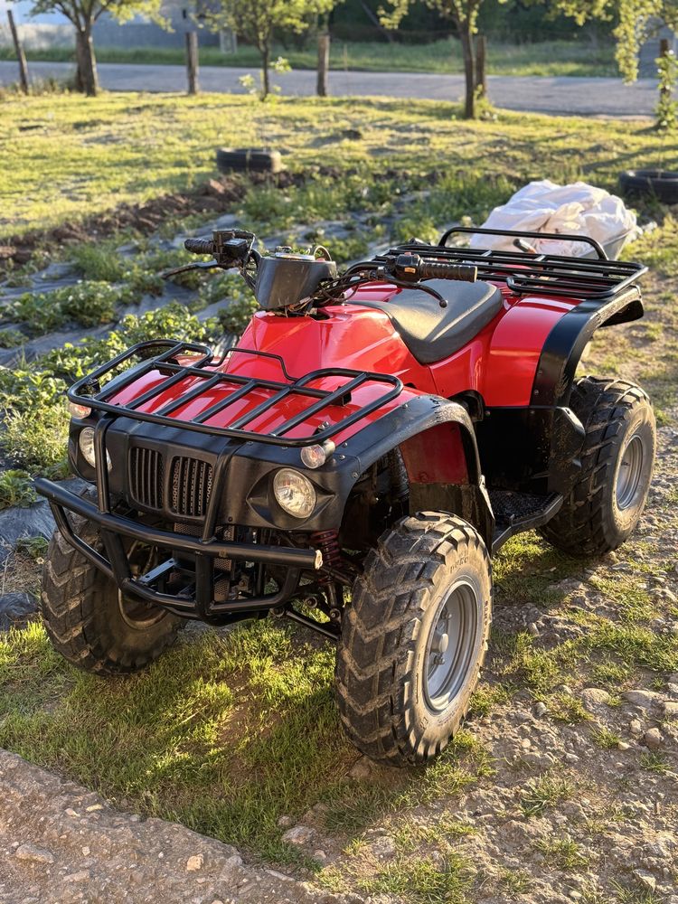 Atv New Force 250