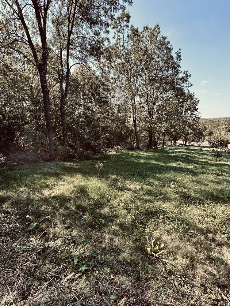 Teren de vanzare intravilan