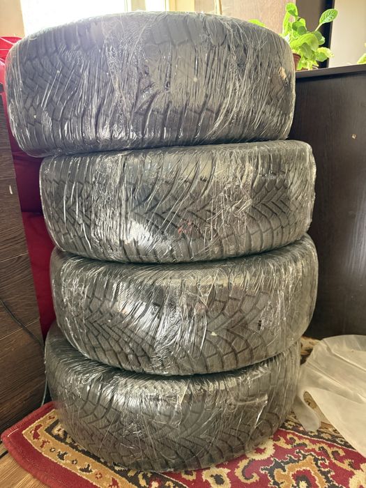 Balon Lassa BYD Seagullga tushadi srochno