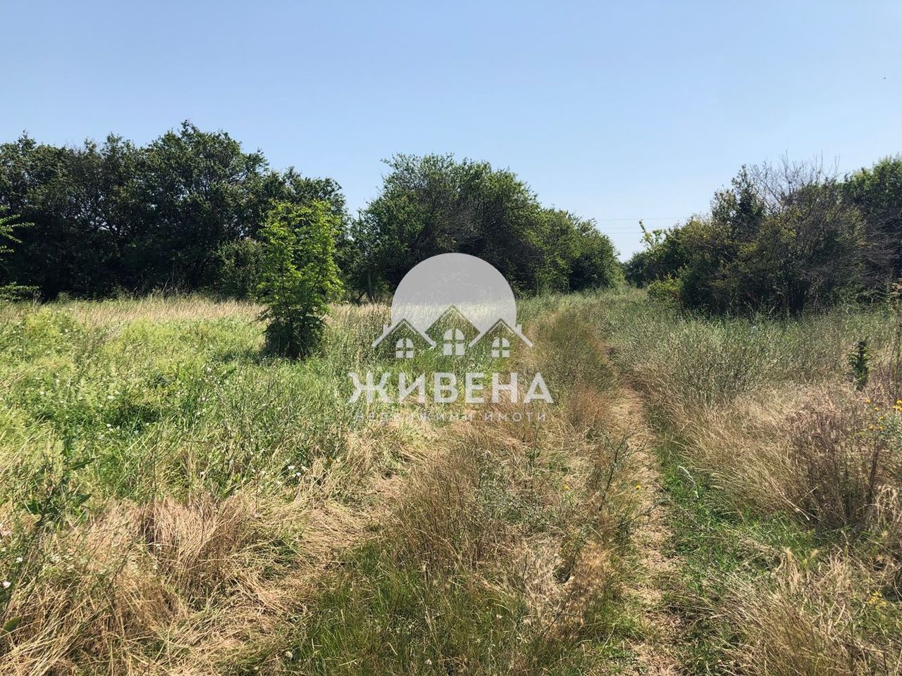 Продава се Парцел в с. Камен бряг, Област Добрич - 5602 кв.м за 13 €/кв.м - Снимка #5