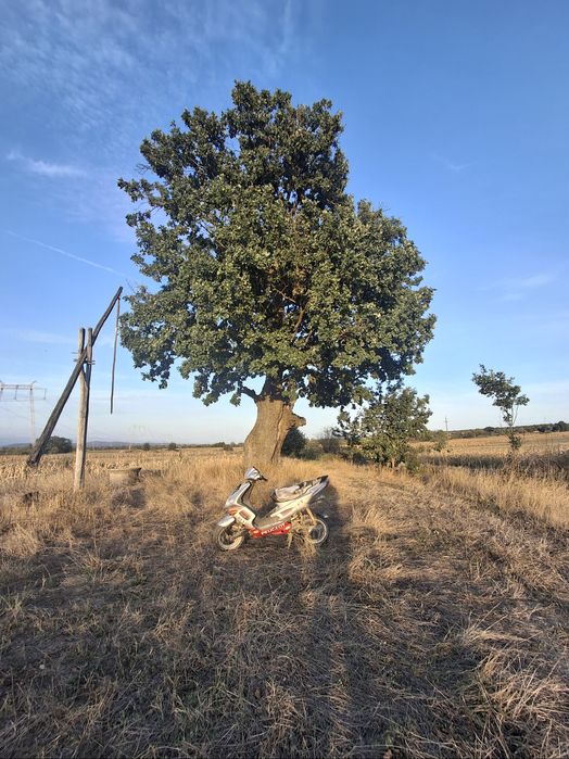 Vand scuter peugeot speedfight2