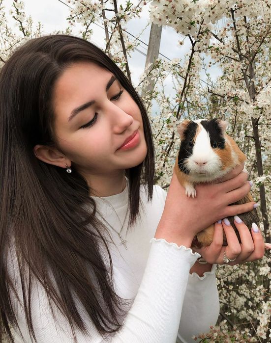 Cazare animale mici de companie