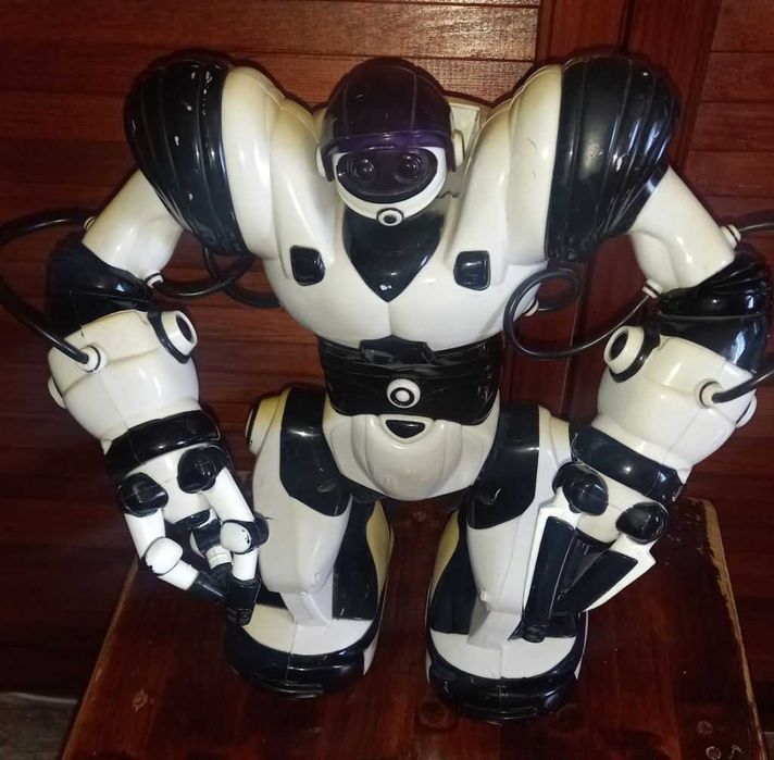 Robot interactiv Malipen (40 cm)