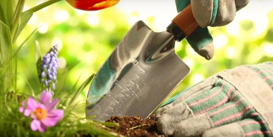 Градинарски услуги-почистване на Плевели ,Бурени,Засаждане на Цветя По