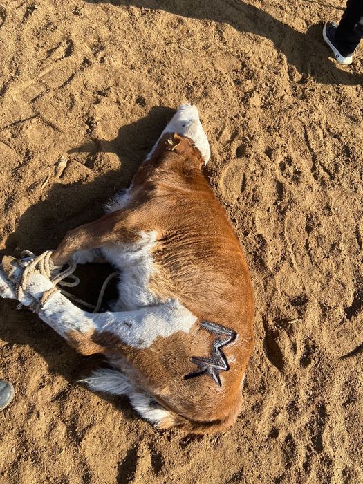 Еки еркек баспак бар