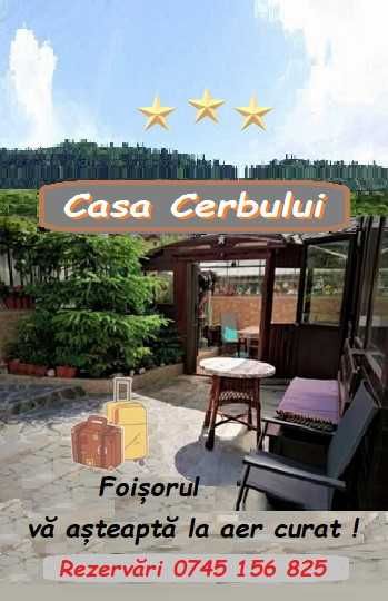 Casa Cerbului Azuga clas. 3*** apart. vilă, max. 6 persoane