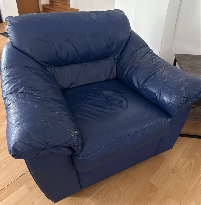 Canapea si fotolii din piele