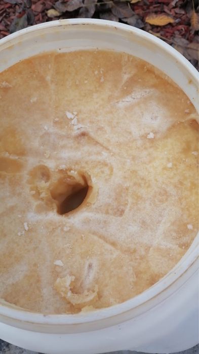 Miere de salcâm en gros