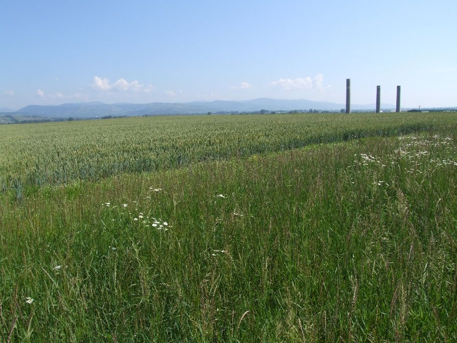 teren Orăștie C.T.Zona, spre Pricaz