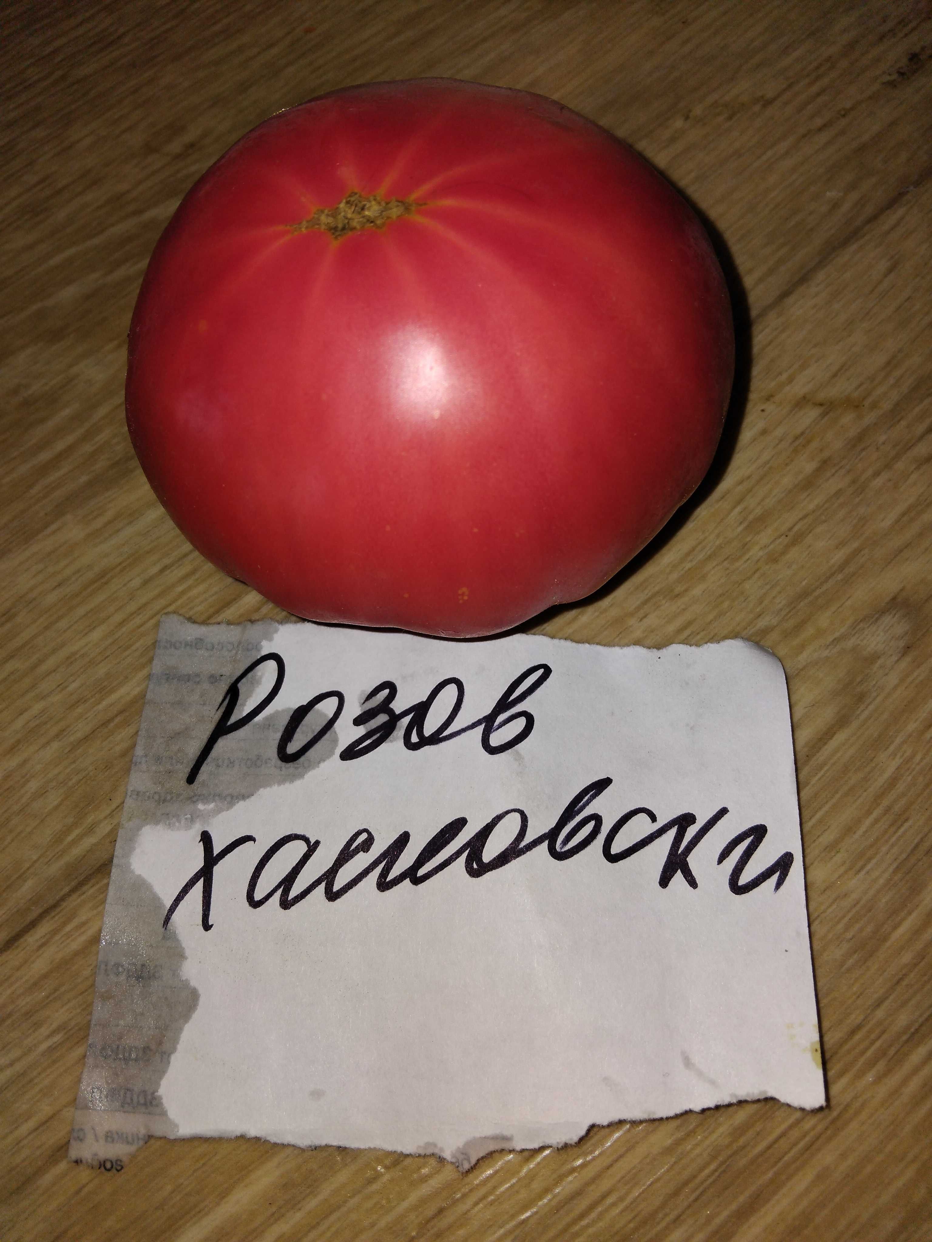 Продавам семена за домати