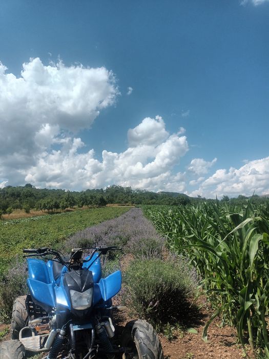 Vând atv bashan 200cc