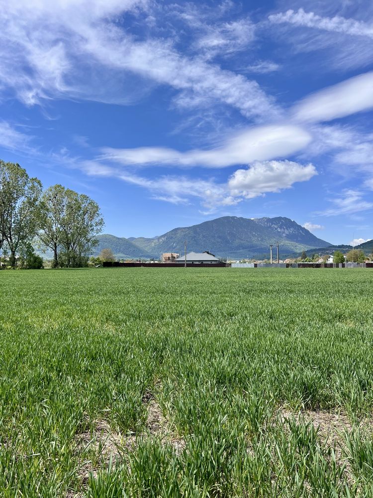 Teren intravilan Zarnesti/Brasov
