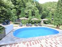 Cabana cu piscina si jacuzii la Valea ierii
