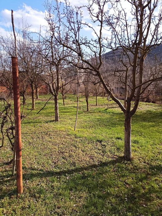 Продава се Къща в с. Бабек, Област Пловдив - 50 кв.м за 960 €/кв.м - Снимка #5