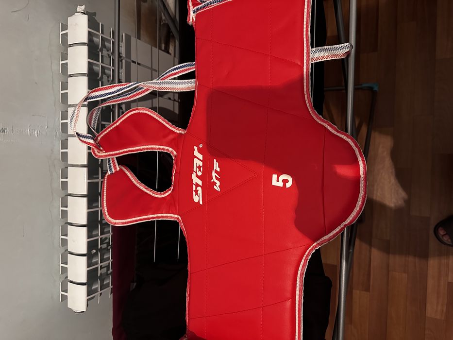 Протектор (Таэквондо)