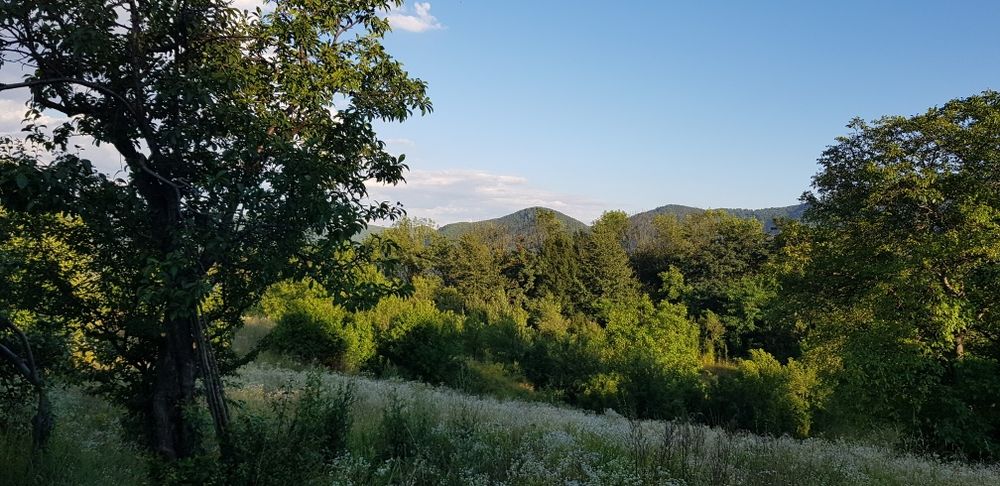 teren loturi pamant Piatra Neamt Scaricica Bisericani 16E/m2