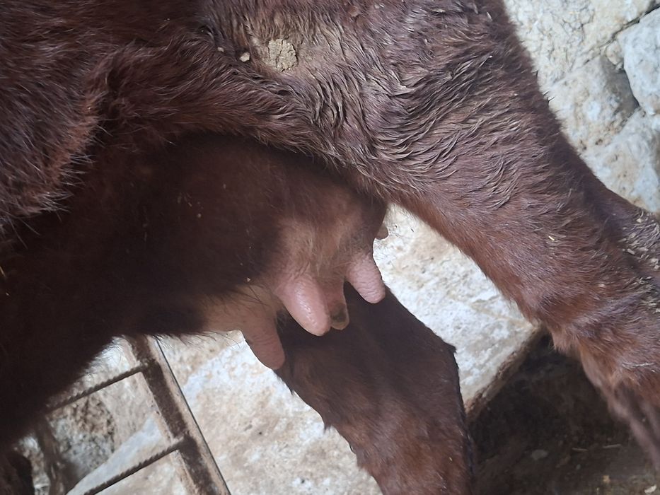 Tagayev Azizbek Asadovich