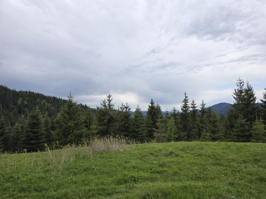 Teren extravilan 164900 MP