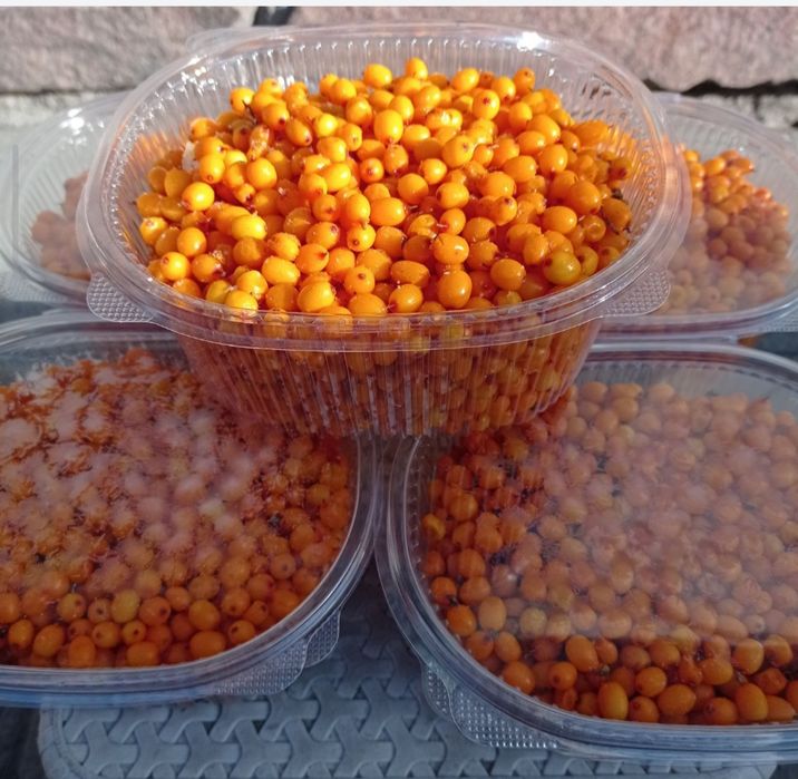 Продается дачная облепиха