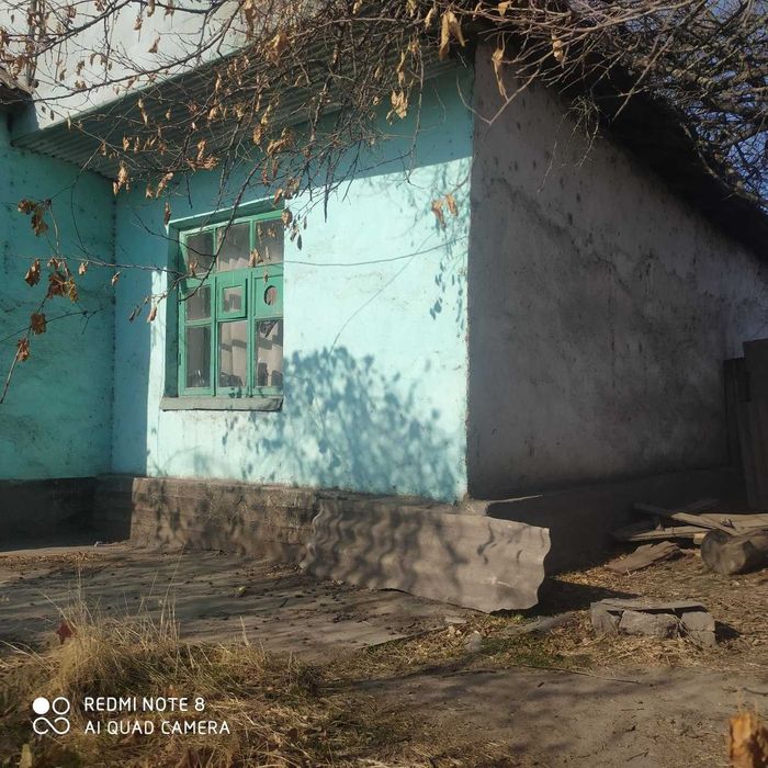 Бузиб олиш учун уй