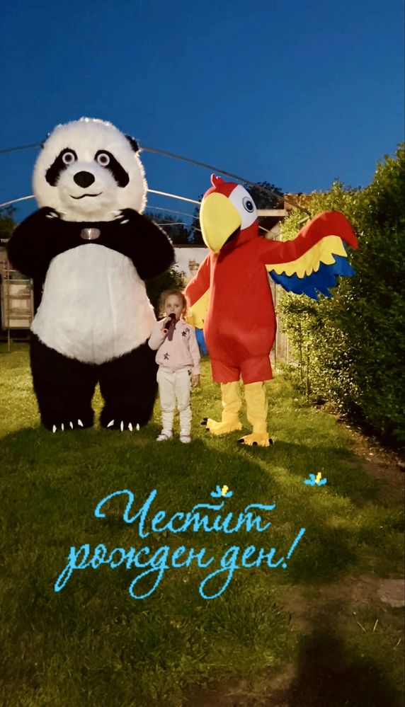 Изненада с костюм на Голям папагал