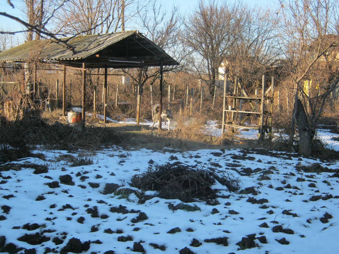 Продава се Парцел в Видин, Строител - 1000 кв.м за 6 €/кв.м - Снимка #5