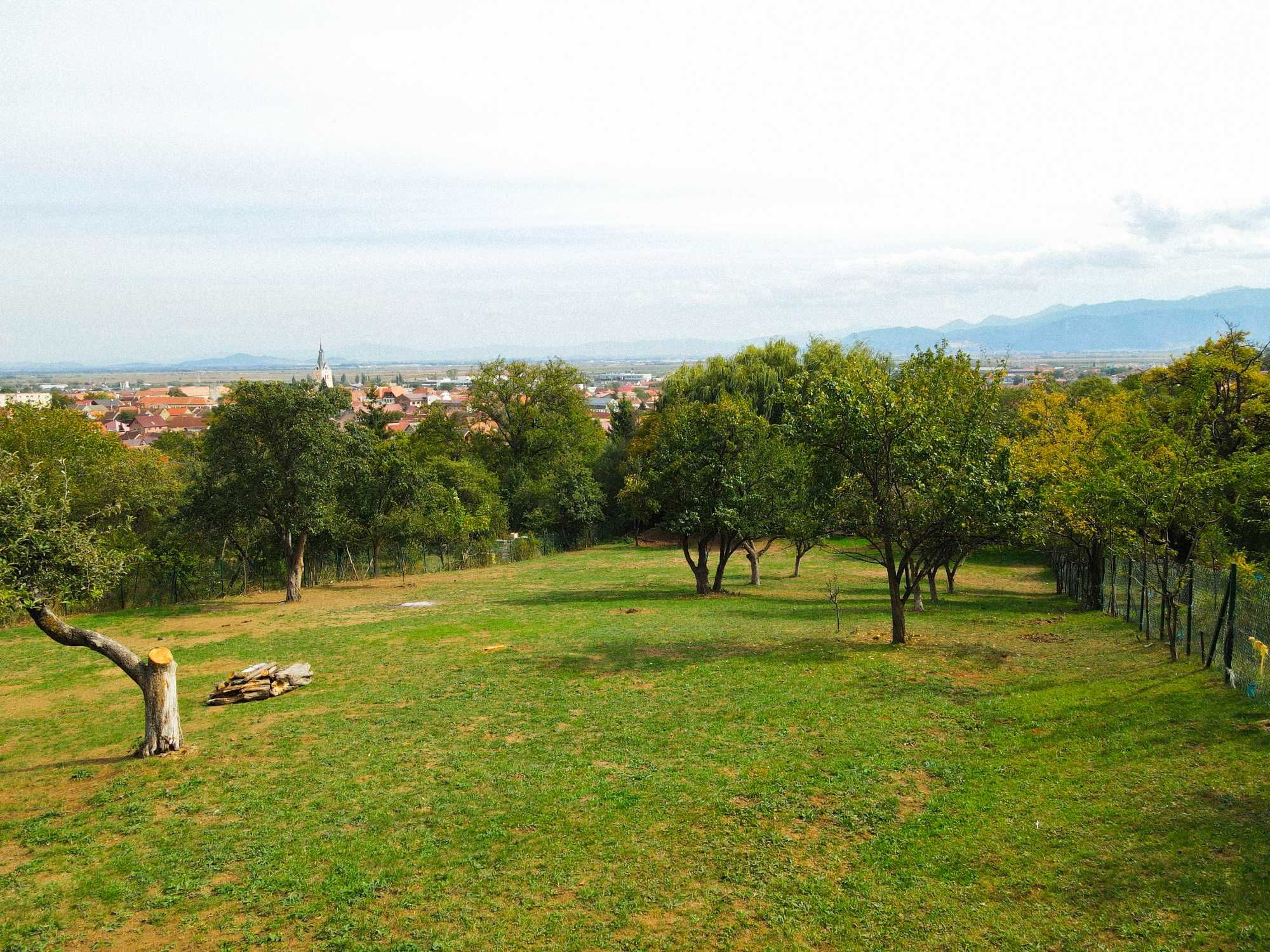 Teren de vânzare in Codlea - Strada Nicolae Bălcescu nr. 18