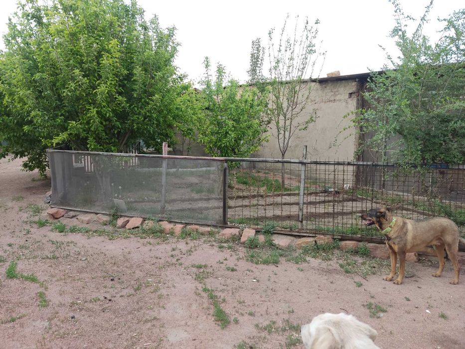 Продается дом без ремонта .