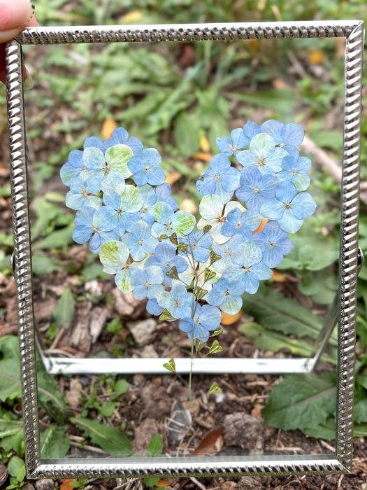 Произведения от пресовани цветя