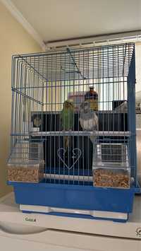 Обмен клетки для птиц попугаев