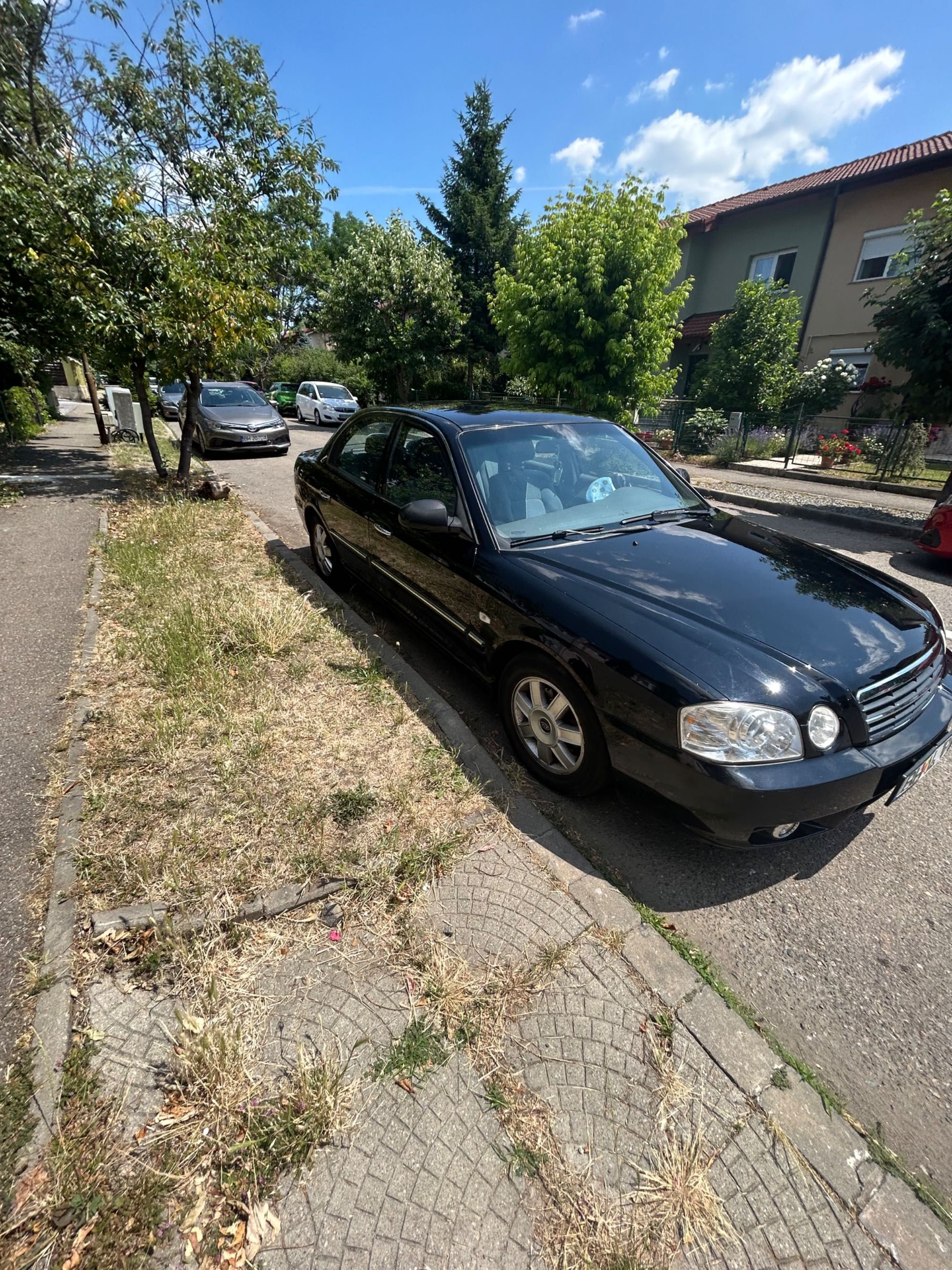 AutoKia Magentis