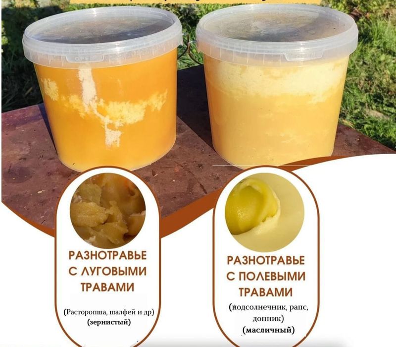 Продается мёд из пасек Восточного Казахстана