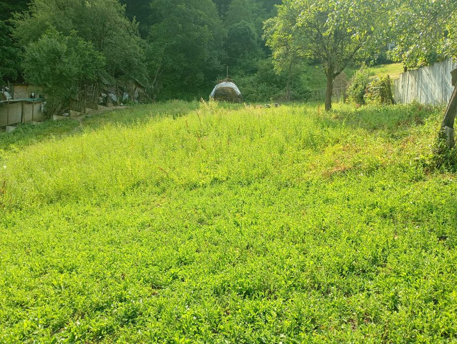 Teren de Vanzare in Statiunea Baile Olanești - Oportunitate Investiție