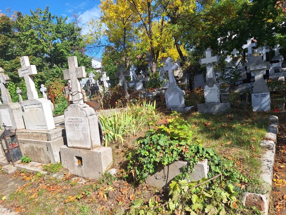 Loc de veci, cimitirul Sf Vineri