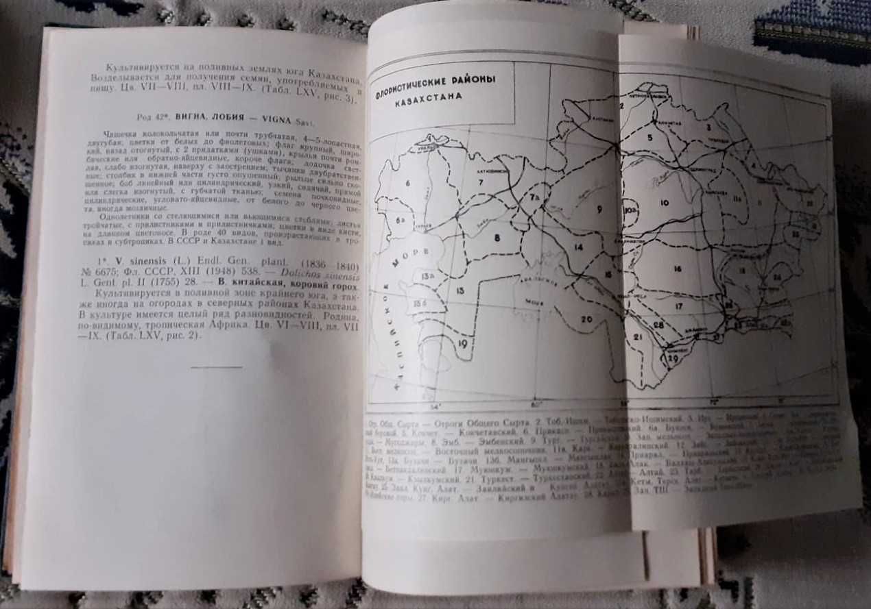 книга Иллюстрирован определитель растений семейства бобовых Казахстана